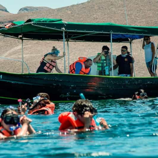 From La Paz: All-inclusive Espíritu Santo Island Tour