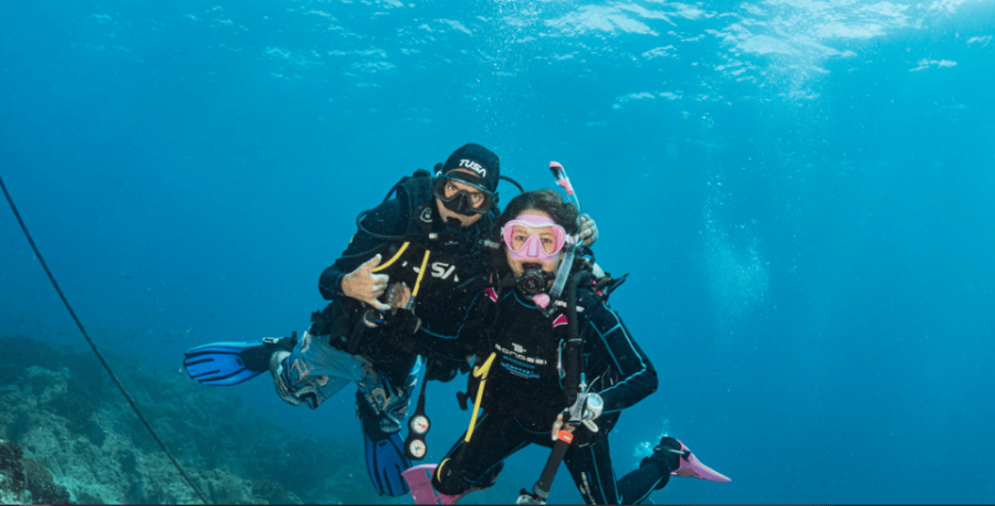 From La Paz: Hotel & Dive Packages: Hotel 7 Crown Downtown