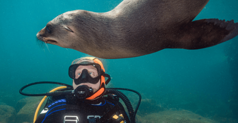 From La Paz: Hotel & Dive Packages: Hotel 7 Crown Malecon