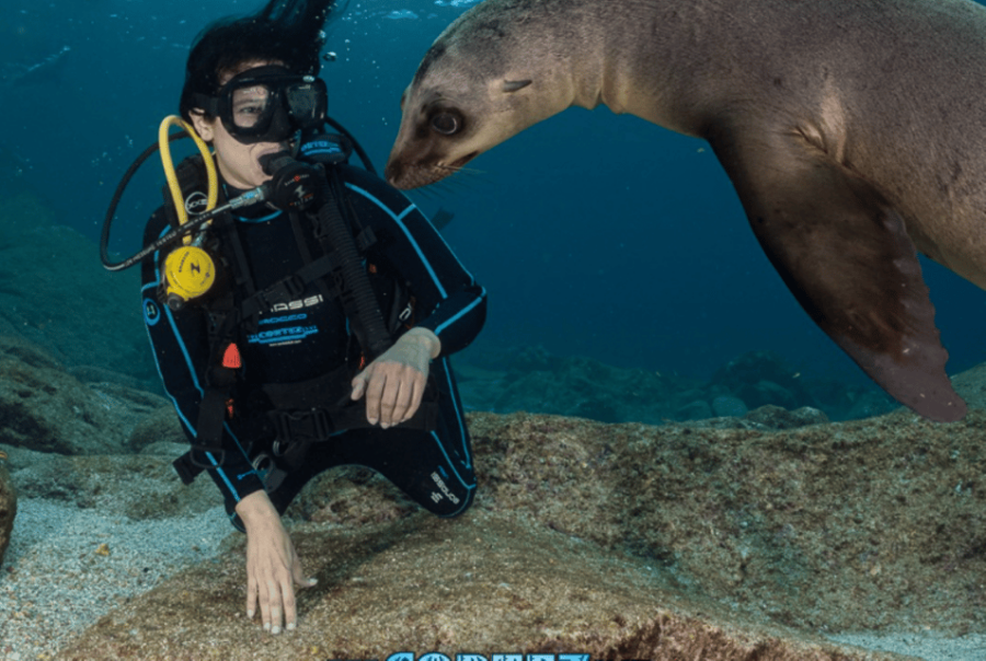 From La Paz: Scuba Diving 2 Tank Dive/3 Tank Dive - Tour Overview