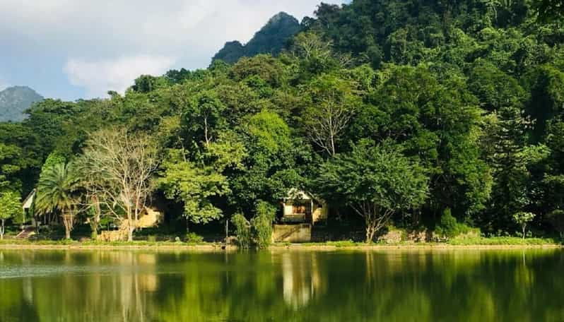 From Ninh Binh : Cuc Phuong National Park Full Day Trip - Itinerary Highlights
