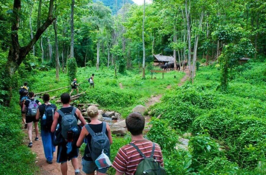 From Ninh Binh Cuc Phuong National Park Group Day Tour