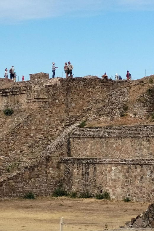 From Oaxaca: Monte Alban Experience and Private City Tour - Tour Overview and Pricing