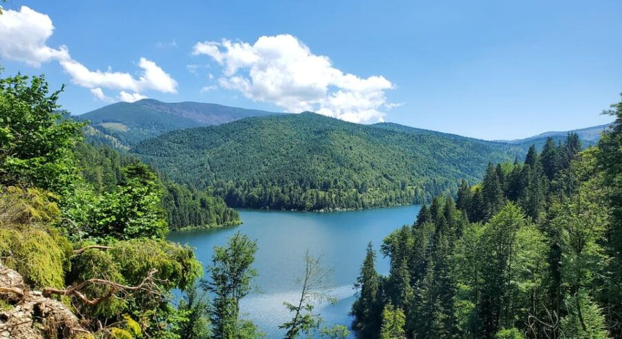 From Oradea: Mountain Bike Around Lake Dragan - Overview of the Adventure