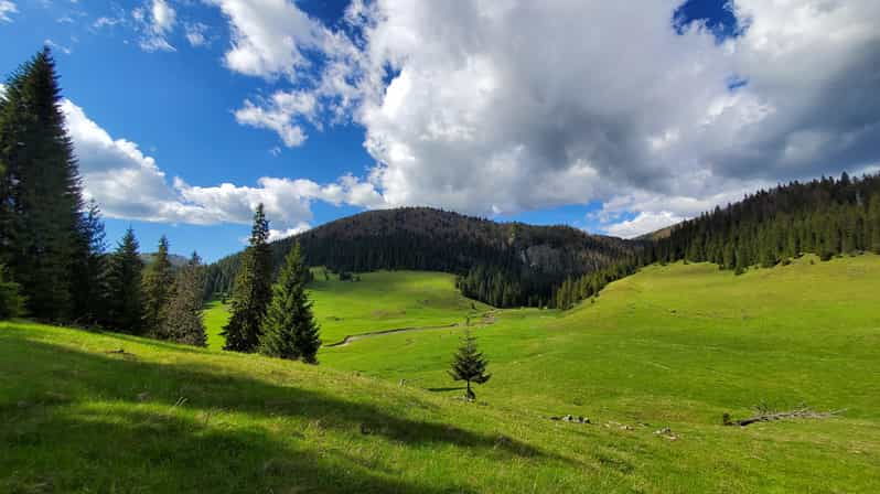 From Oradea:Carpathian Mountains Guided Scenic Hike