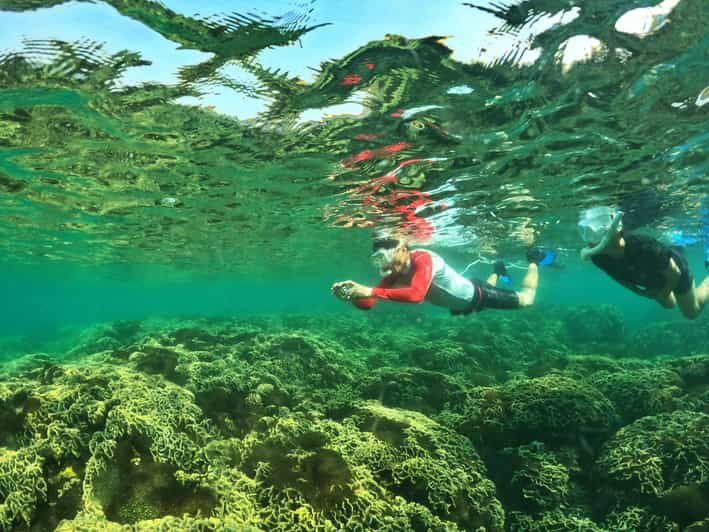 From Phu Quoc: Discover 4 Islands by Speedboat Full Day Tour - Itinerary Details