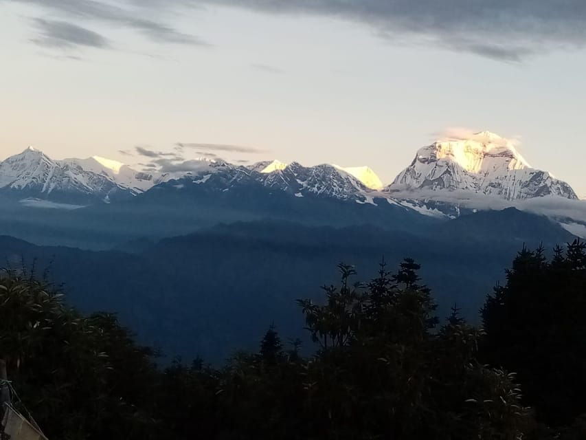 From Pokhara: 2 Day 1 Night Poon Hill Premium Trek - Trek Overview and Highlights