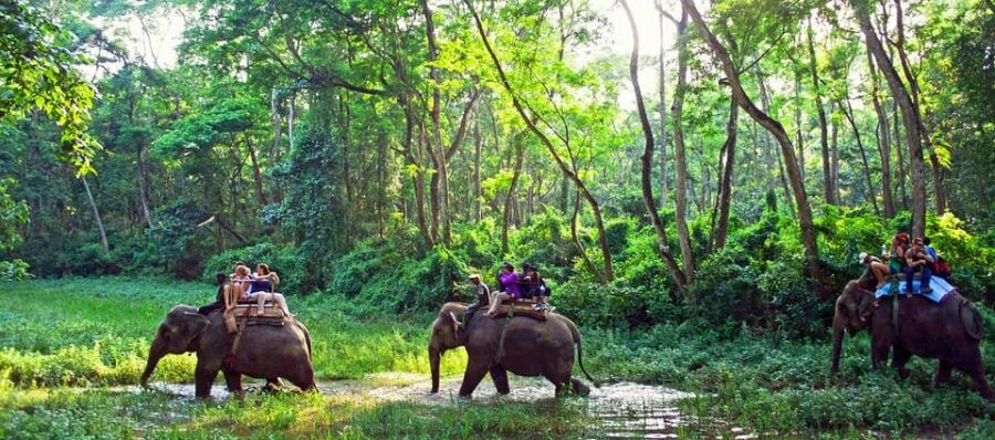 From Pokhara: 2 Night 3 Day Chitwan Wildlife Jungle Tour