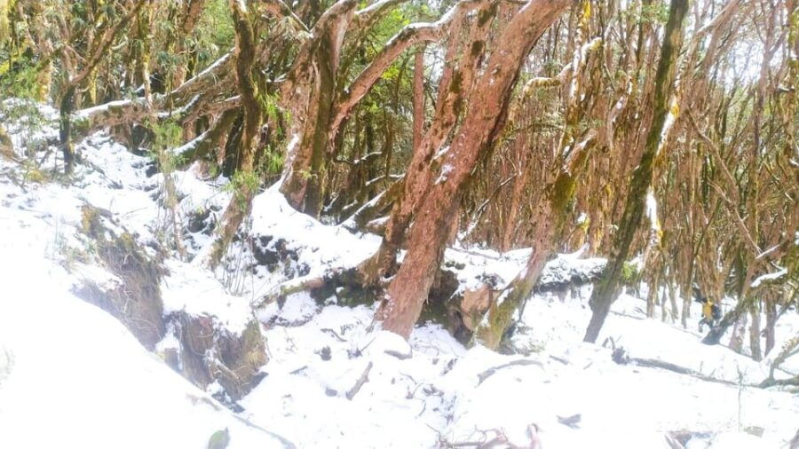 From Pokhara: 3 Day 2 Night Mardi Himal Natura Explore Trek - Trek Highlights and Attractions