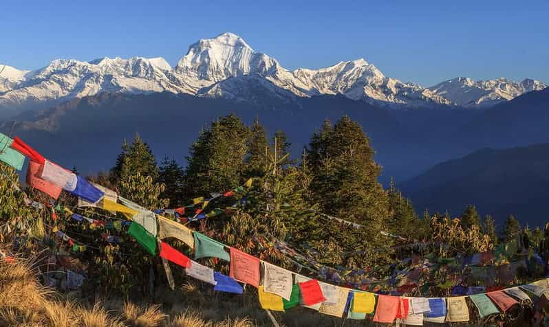 From Pokhara : 3-Day Ghorepani Poon Hill Trek With Guide
