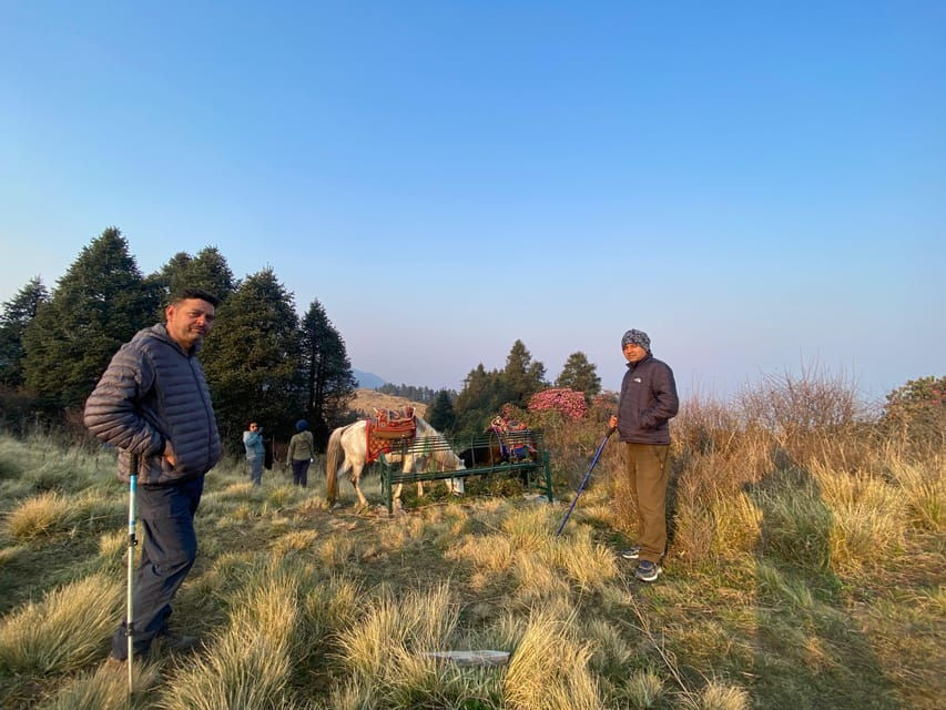 From Pokhara: 3 Day Short Poon Hill With Thapla Danda Trek