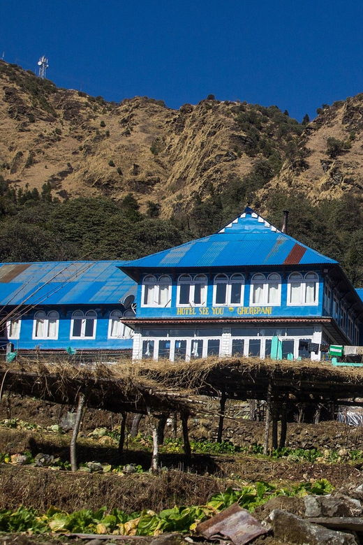 From Pokhara: 3 Days Ghorepani Poon Hill Trek