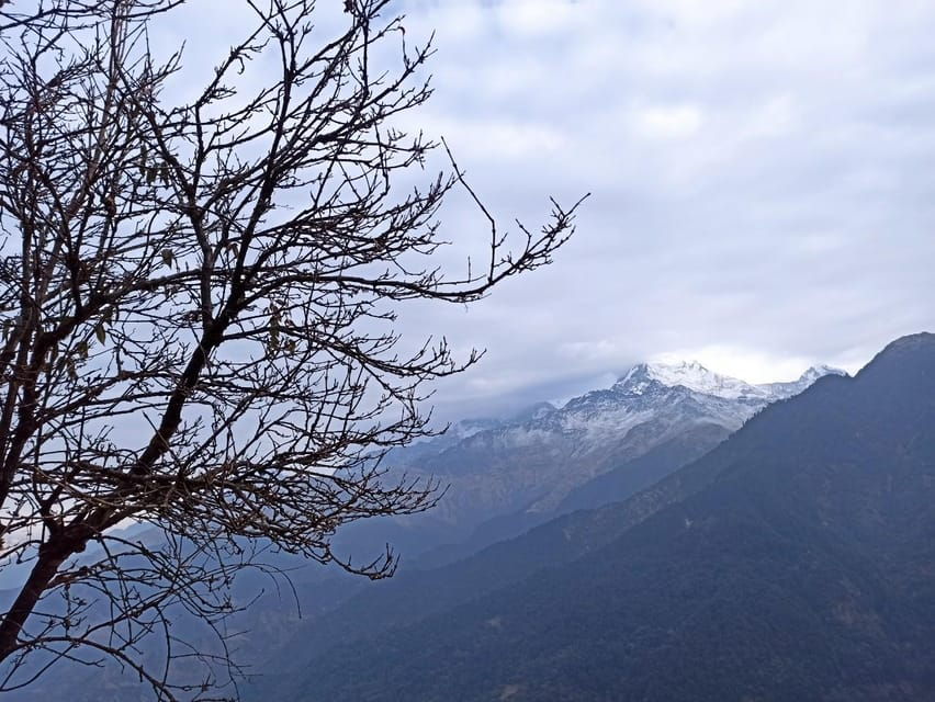 From Pokhara: 3 Days Poon Hill Short Trek