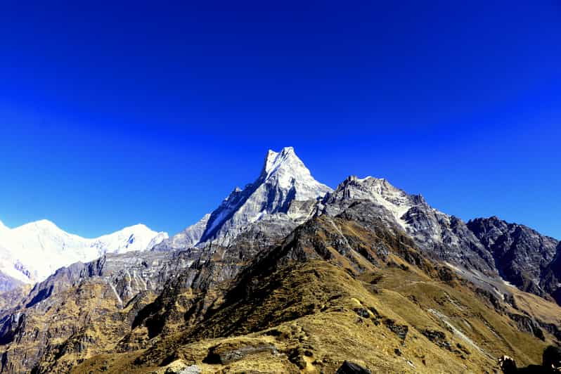 From Pokhara: 8-Day Mardi Himal Trek With Transfers - Overview and Pricing