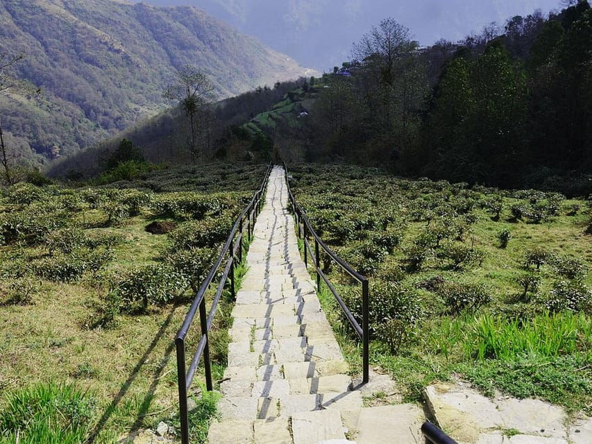 From Pokhara: Ghandruk Village Trek - Trek Overview and Experience