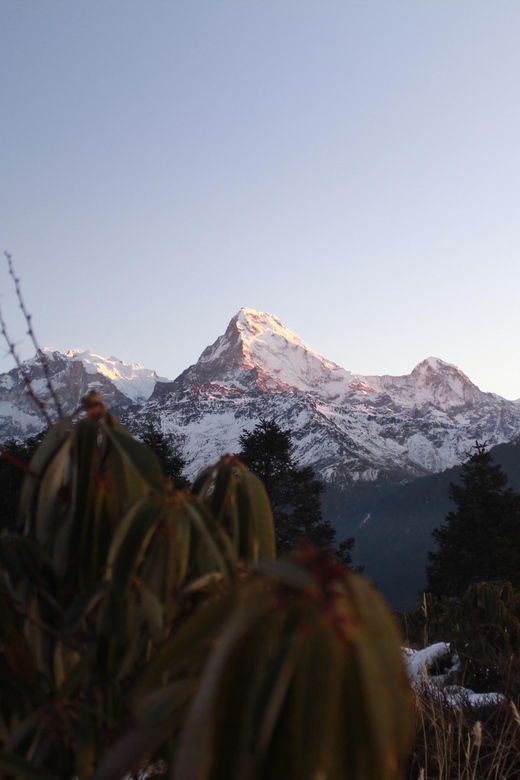 From Pokhara Short: 1 Night 2 Day Ghorepani Poon Hill Trek - Overview and Pricing