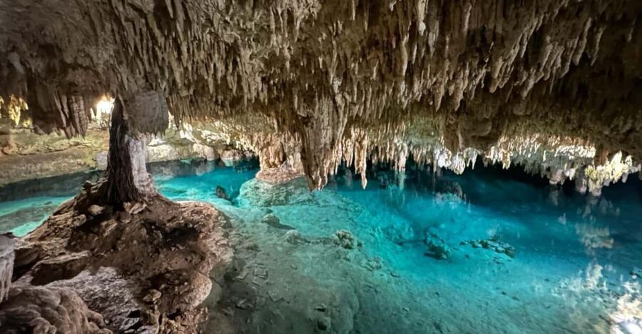 From Riviera Maya: 3 Cenotes Snorkeling Tour