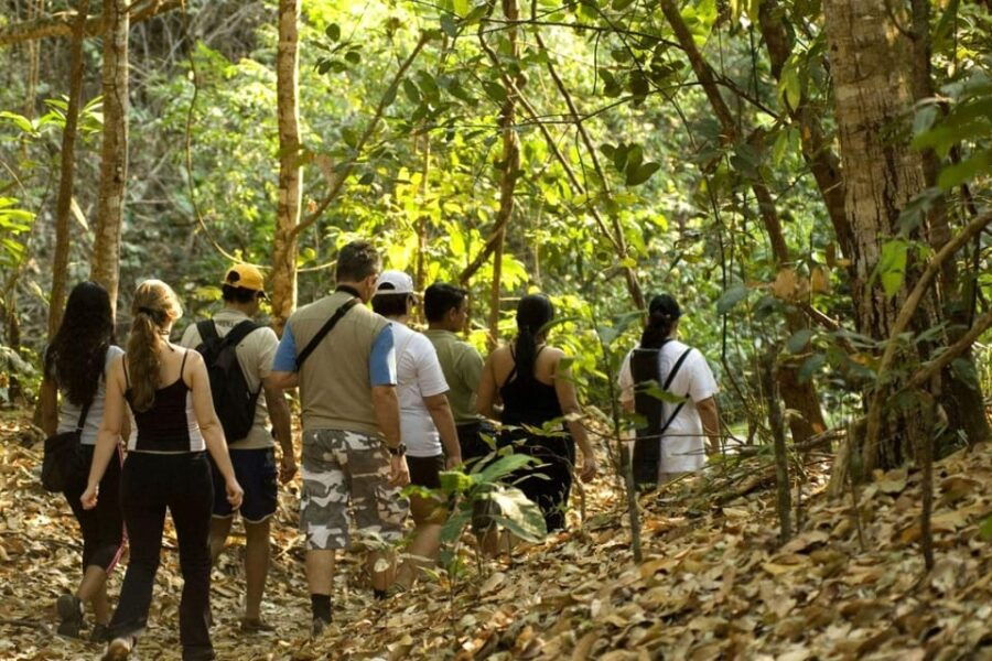 From San Cristóbal: Lacandona Jungle 3 Days Tour