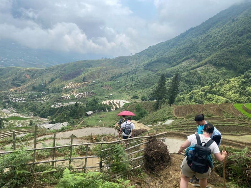 From Sapa - 1D Trek: Walk Through Bamboo Forest With Lunch - Tour Overview