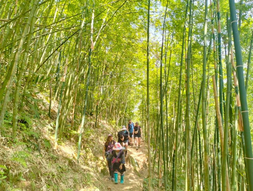 From Sapa 2-Day Sapa Trekking Trip With Homestay & Meals