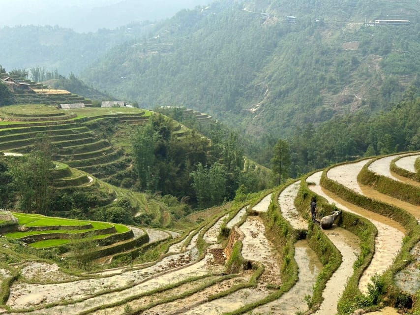 From Sapa: Lu Khau and Xa Xeng Villages 1 Day Private Tour - Tour Overview and Pricing