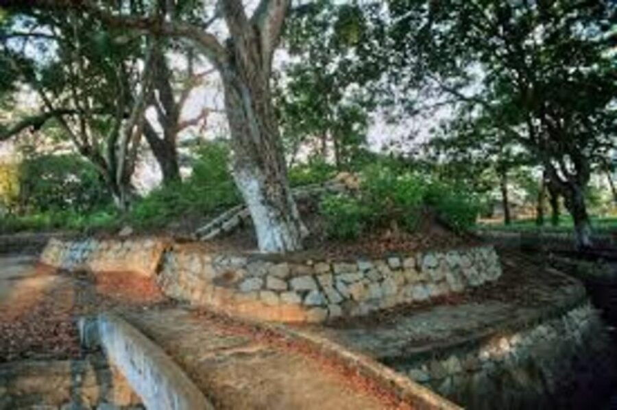 From Vung Tau: Nui Dat, Long Tan Private Tour - Overview of the Tour
