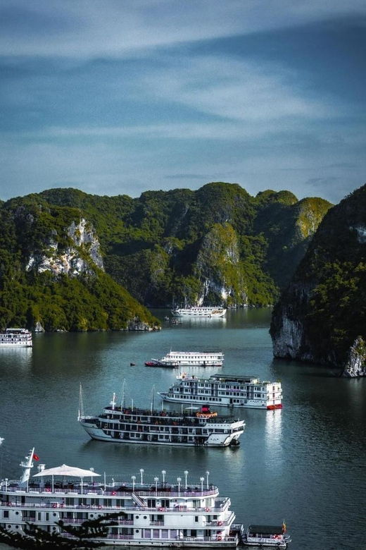 FullDay In Ha Long Bay, Luon Cave And Titop Island - Tour Overview and Pricing
