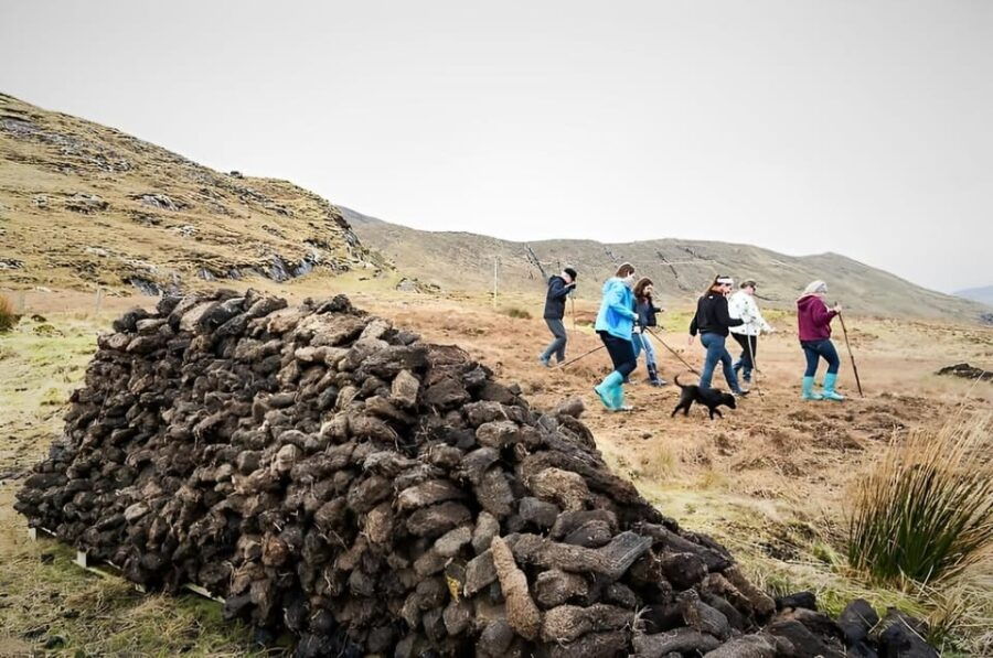 Galway: Working Sheep Farm Guided Visit With Herding Demo - Tour Overview