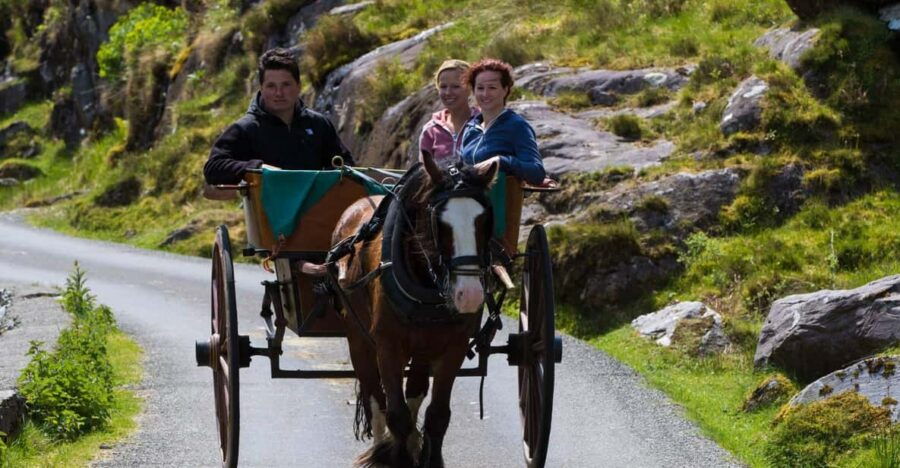 Gap of Dunloe & Lakes of Killlarney Boat Tour
