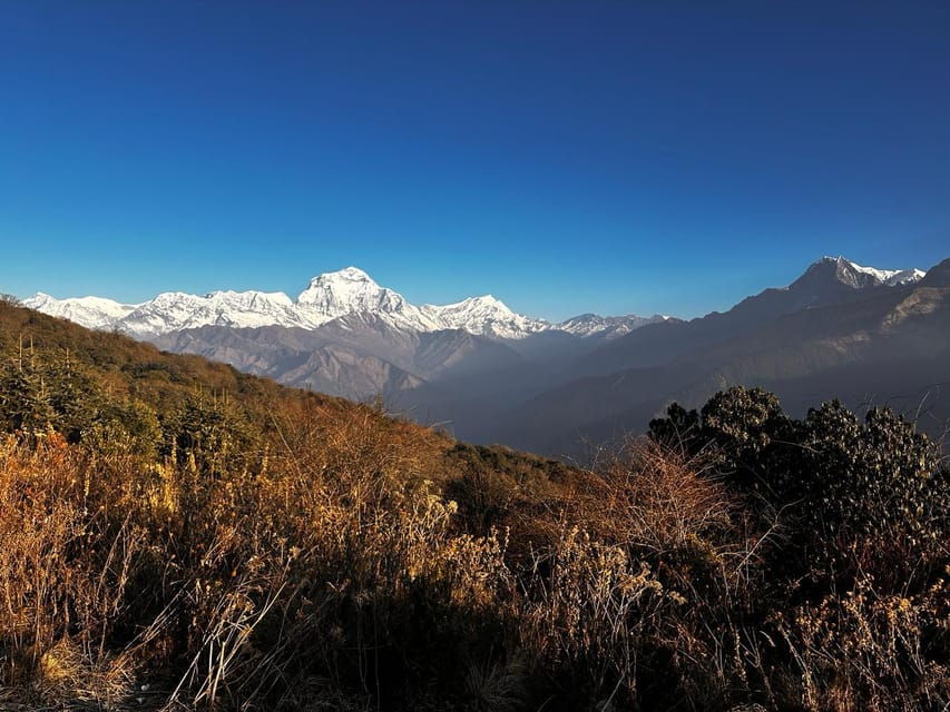 Ghorepani Poonhill Trek