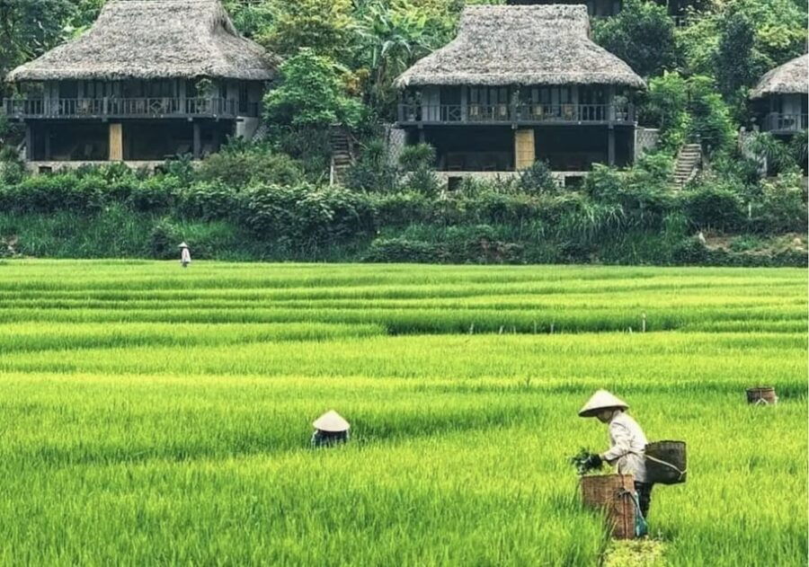 Group Tour: Mai Chau Full Day Trip From Hanoi - Itinerary Highlights