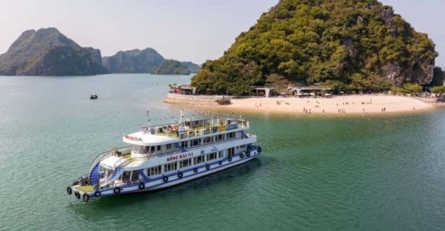 Ha Long: Half Day Cruise With Lunch, Kayaking, and Swimming - Overview and Pricing