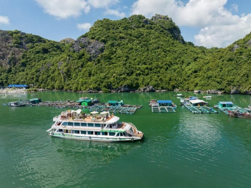 Ha Noi : Lan Ha Bay Day Cruise With Kayaking - Swimming Tour - Itinerary and Activities