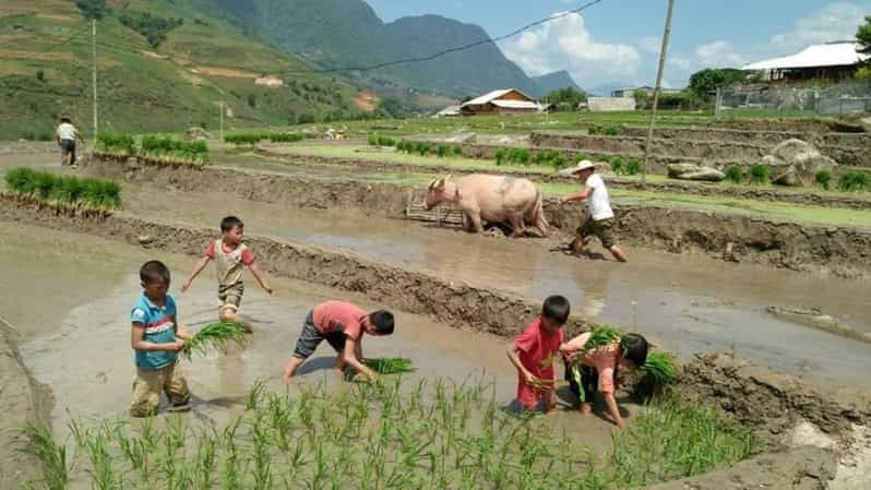 Hanoi: Sapa Trekking 2 Days 1 Night – VIP Bus From Hanoi