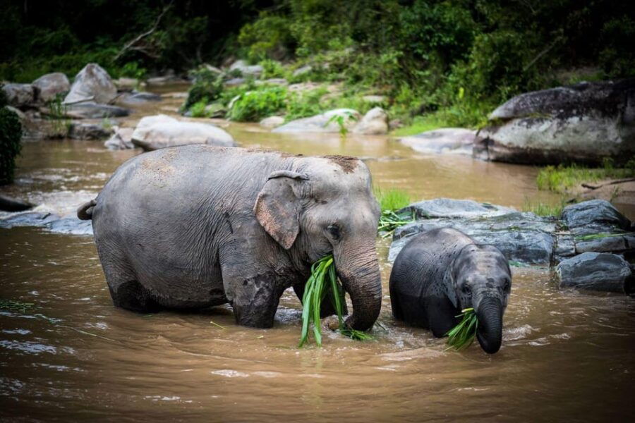 Highlights of Thailand Tour