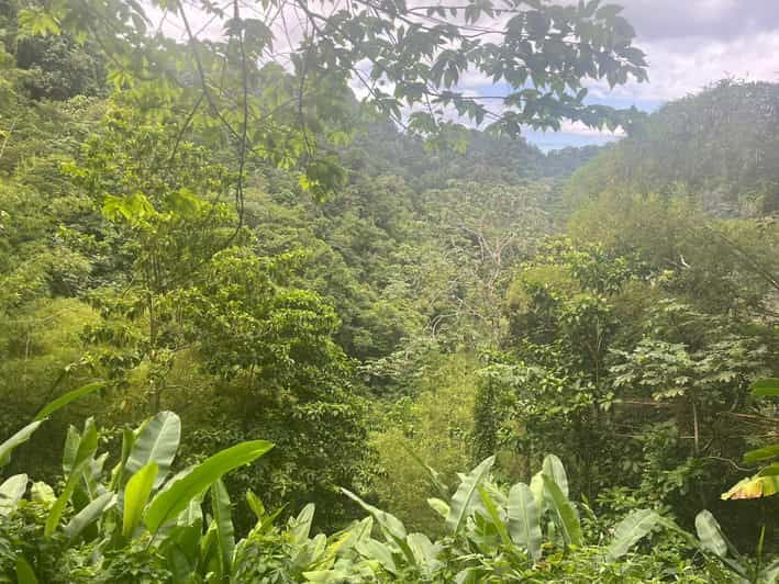 Hiking in the Rainforest, Waterfall, Black Sand Beach - Activity Overview