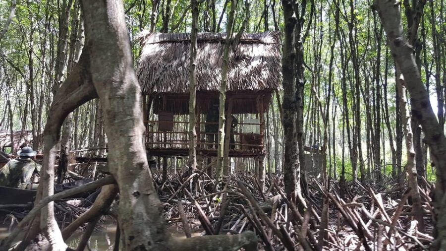 Ho Chi Minh City: Can Gio Monkey Island Day Trip With Lunch - Tour Overview and Pricing