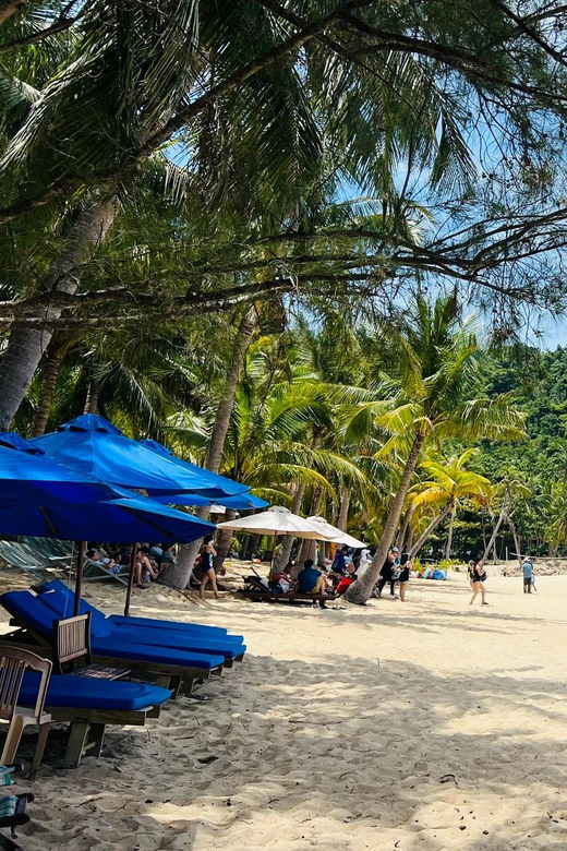 Hoi An: Cham Island Snorkeling or Underwater Walking Tour - Tour Overview and Pricing