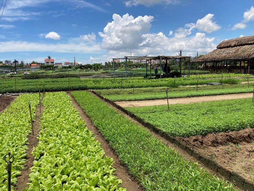 Hoi An: Farming and Fishing Tour With Basket Boat Ride - Tour Overview