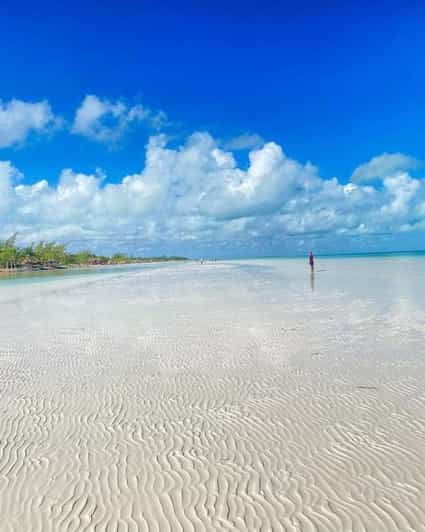 Holbox Island: Day Trip With Lunch - Tour Overview and Pricing
