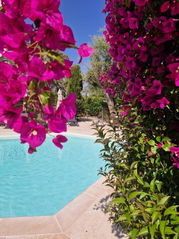 Hotel La Villa Cap D'Antibes - Overview of the Hotel