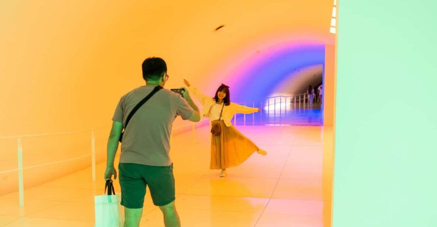 Houston: The Museum of Fine Arts All Access Ticket - Ticket Pricing and Availability