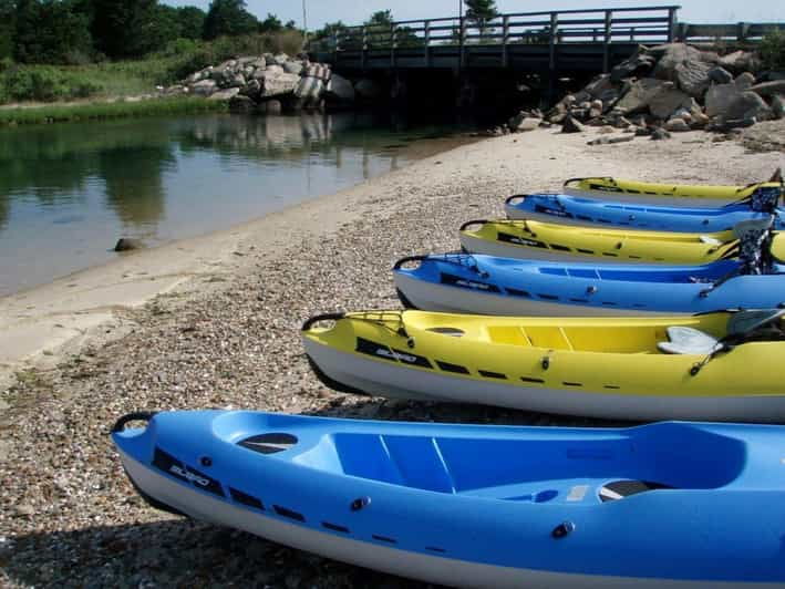 4 Best Canoe And Kayak Experiences In Oak Bluffs