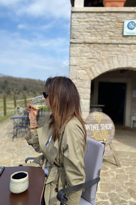 Istria Wine Tour From Crikvenica, Island Krk and Rijeka - Tour Overview and Pricing