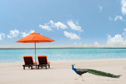JA The Resort - JA Beach Hotel, Dubai - Overview and Location
