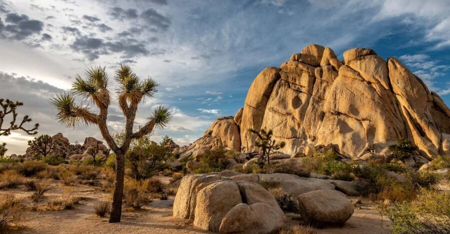 Joshua Tree: Keys View Iconic Driving Tour