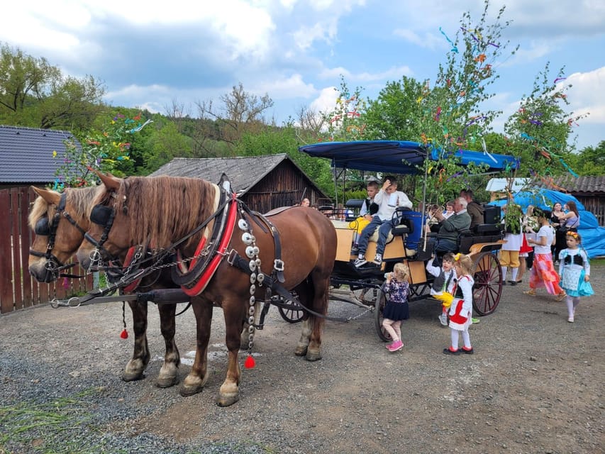 KarlšTejn Castle by Horse Carriage - Activity Overview