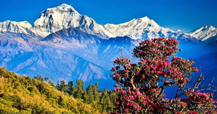 Kathmandu: 3-Day Chisapani Nagarkot Trek