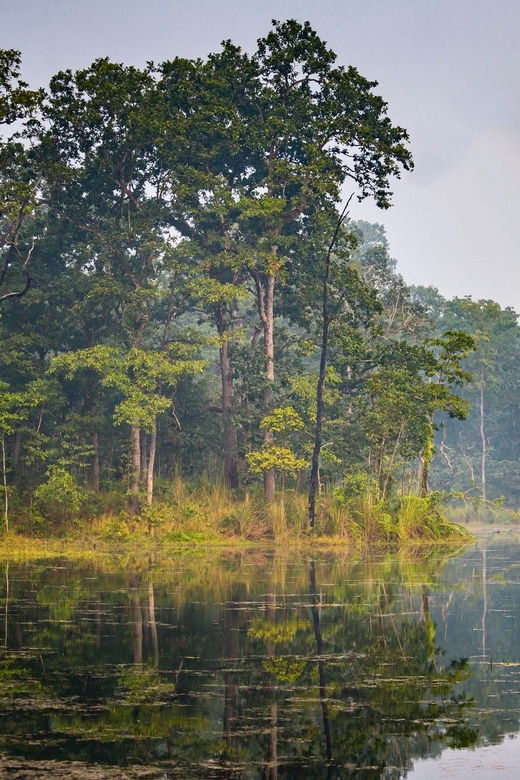 Kathmandu : 3-Day Chitwan Safari Tour With Hotel Transfers