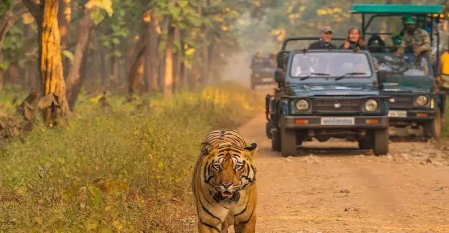 Kathmandu: 4-Day Private Chitwan National Park Safari Tour - Tour Overview